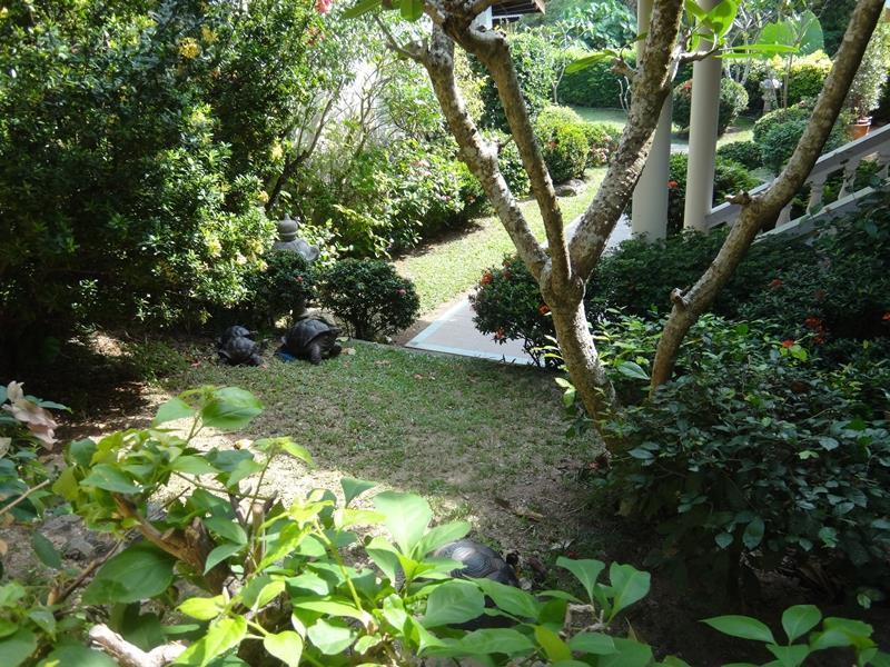 Holiday Village And Natural Garden Resort Phuket Dış mekan fotoğraf